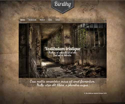Création de site internet pour photographe Portfolio de Birdy