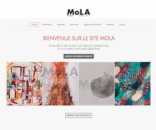 Création de site internet pas cher pour  Musée Musée Mola Paris
