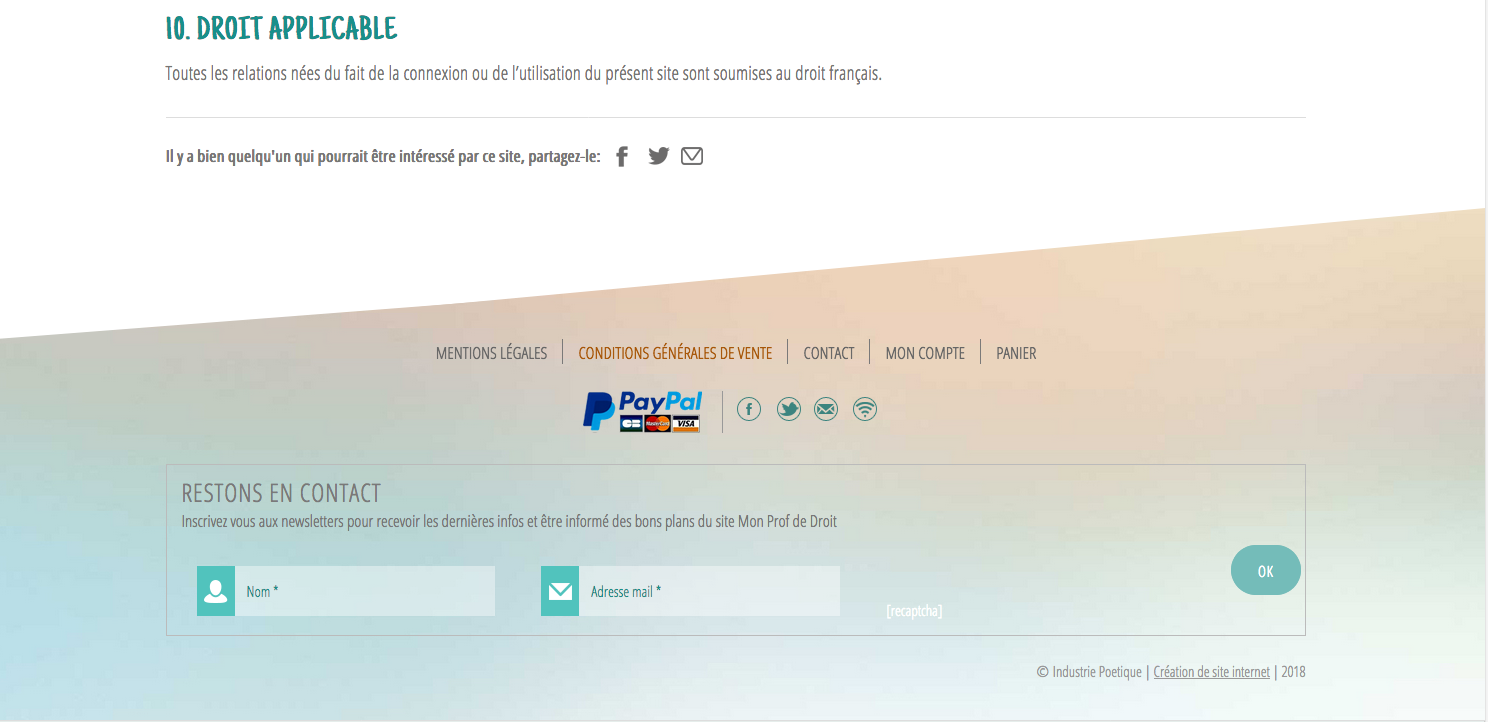 Exemples de Bas de Page, Footer, pour Site Internet 7- Exemple de footer avec menu + formulaire de mailing + sociaux et icônes de paiement