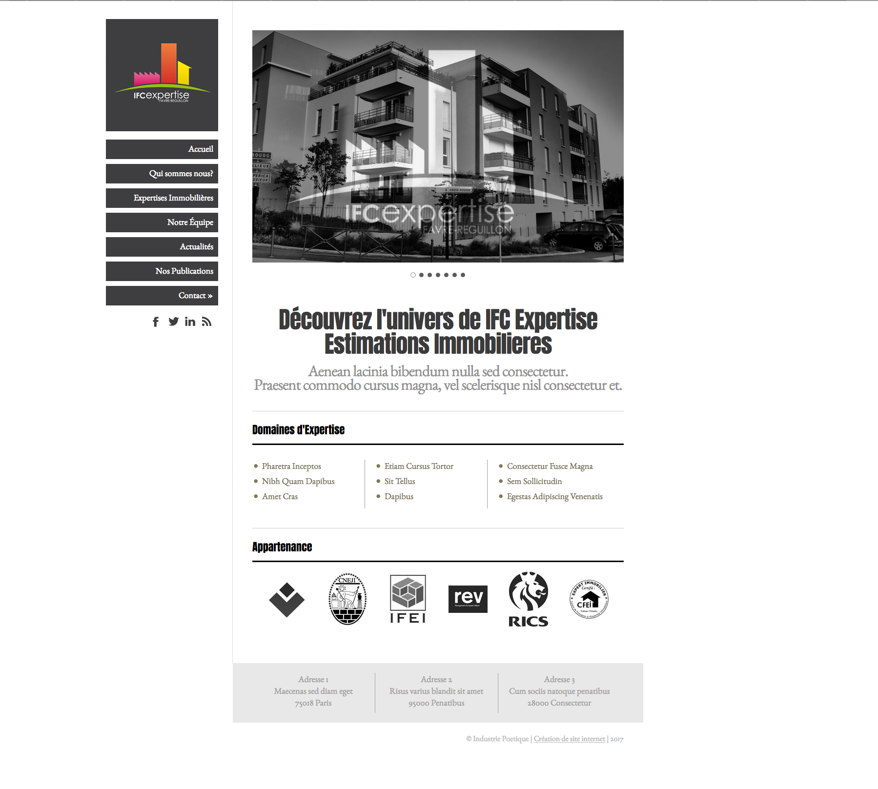 Exemples de Page d’Accueil pour Site Internet 38- Exemple de page d'accueil pour un site d'expertise immobilière
