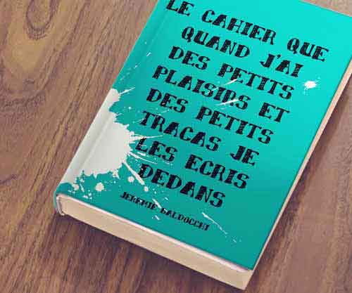 Livre du Peintre Jérémie Baldocchi Éditions : Psshit