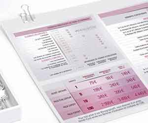 Création de schémas pas cher pour des documents imprimés Schémas explicatif pour la documentation d'une société