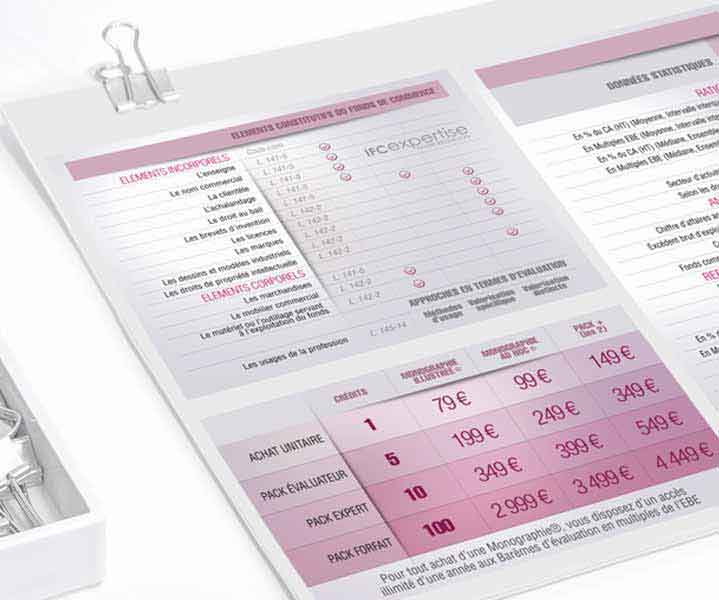 Création de schémas pas cher pour des documents imprimés Schémas explicatif pour la documentation d'une société