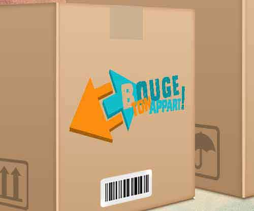 Création de logo pour une société de déménagements Bouge Ton Appart