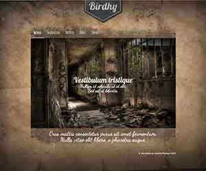 Création de Site Internet Pas Cher pour Photographe - Création de site internet pour photographe Portfolio de Birdy