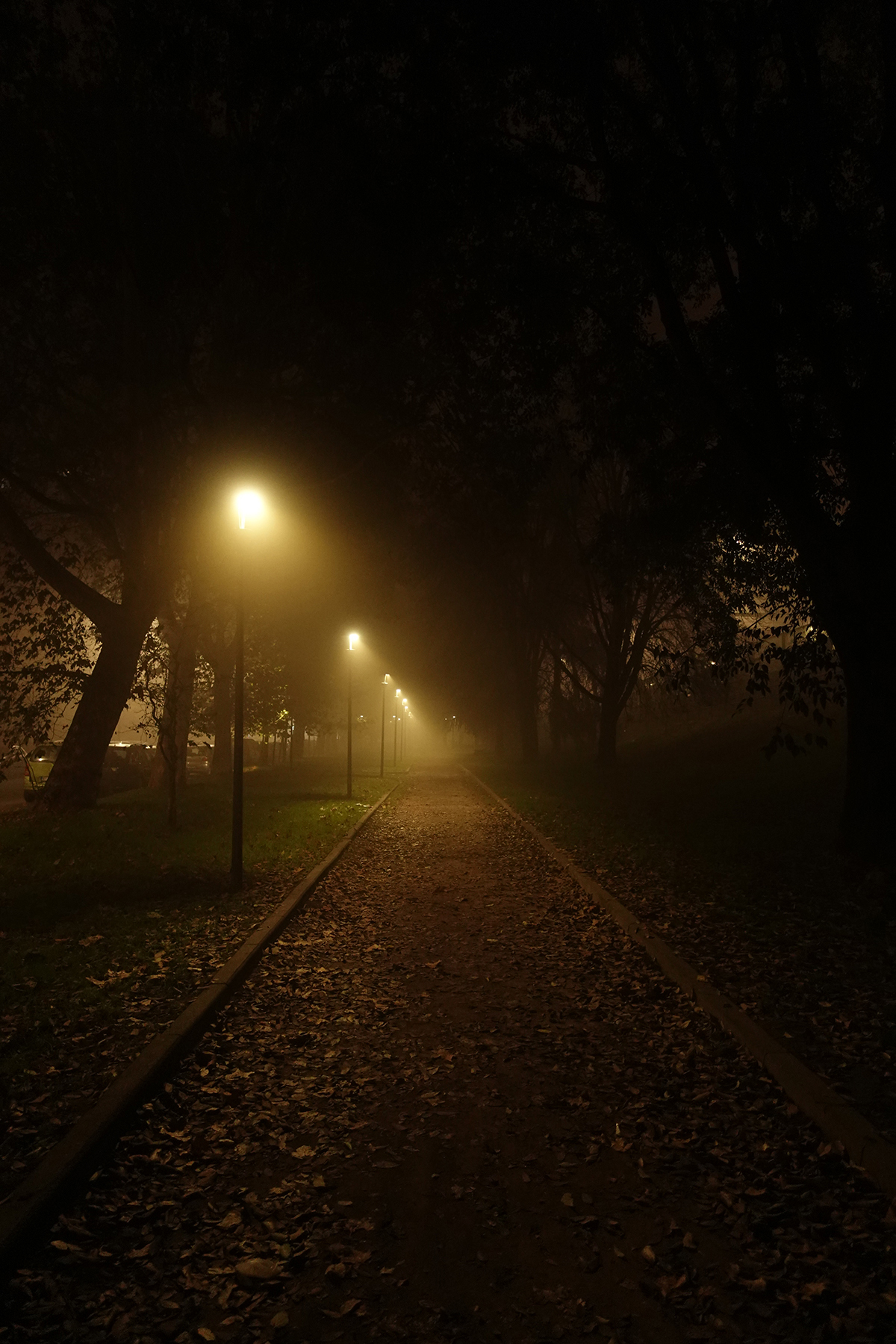 Insipration graphique durant une nuit sombre prise le 18-11-2024