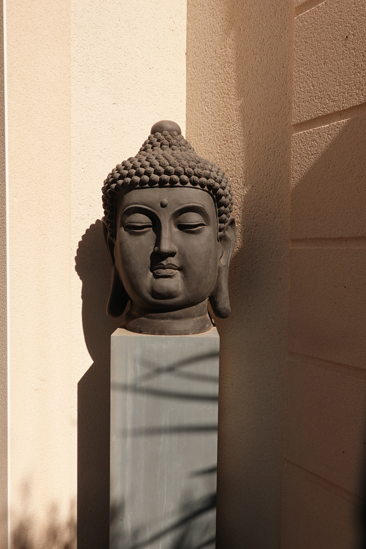 Insipration graphique avec un buddha dans un jardin prise le 19-09-2024