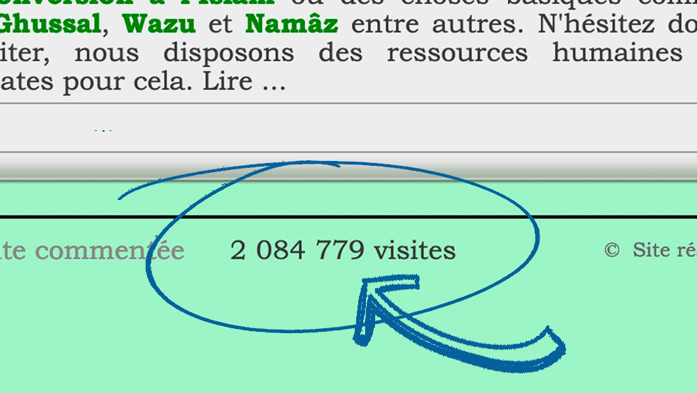 Option Nombre de visiteurs pour votre site internet indication nombre de visiteurs sur les pages de votre site internet